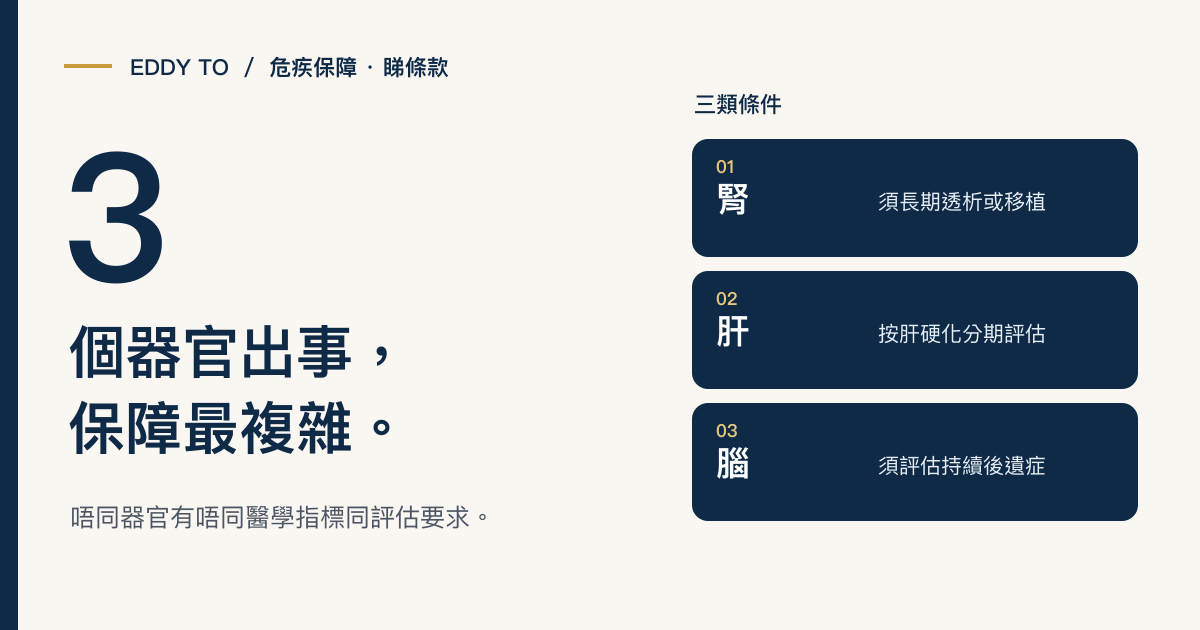 腎病、肝病、腦病：呢 3 個器官出事，保障最複雜